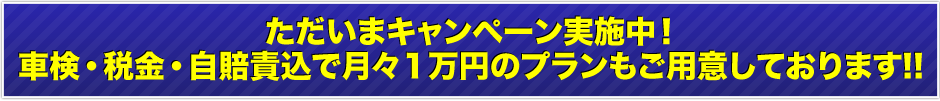 ただいまキャンペーン実施中！車検・税金・自賠責込で月々１万円のプランもご用意しております!!